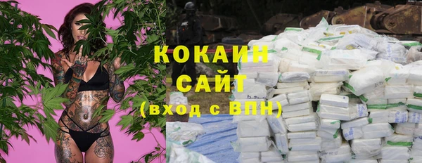 дмт Алзамай
