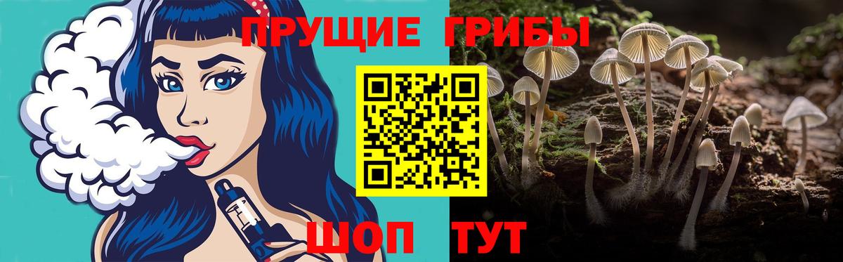 Елабуга  Галлюциногенные грибы Cubensis  Вход с VPN  Псилоцибиновые грибы прущие грибы 